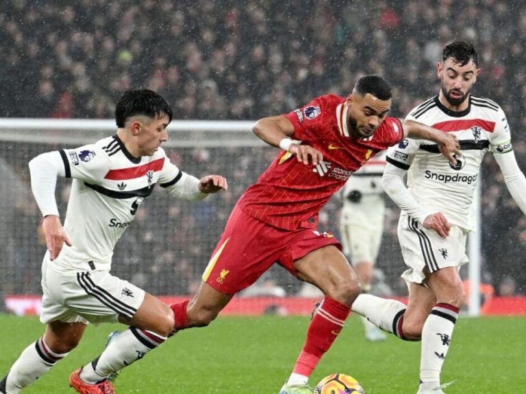 whatsapp_image_2025-08-14_at_09.33_30_b0bc8ce0-753cf