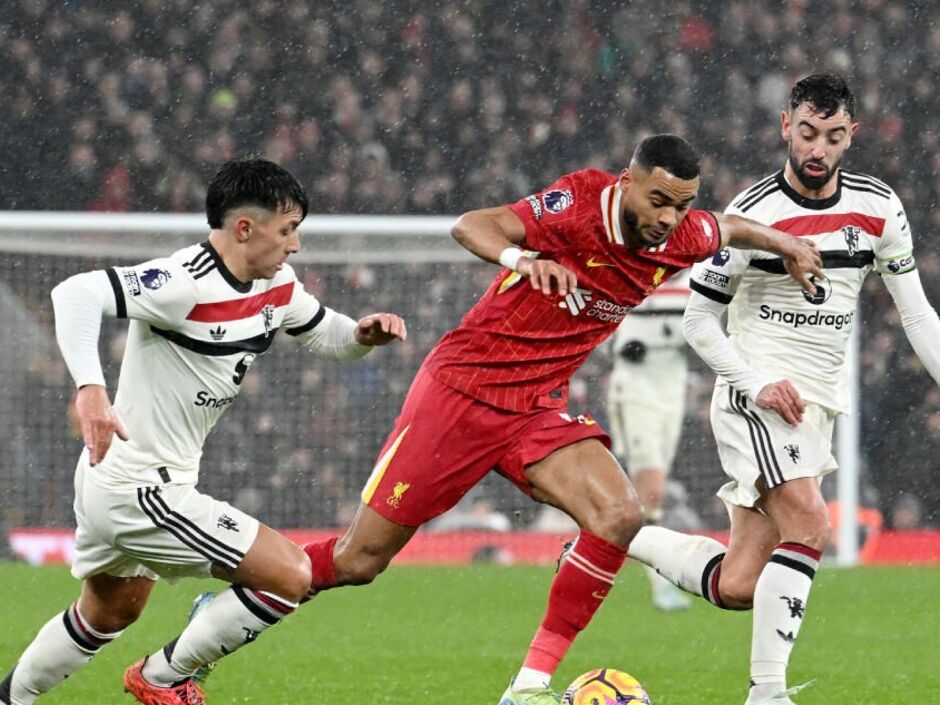 whatsapp_image_2025-08-14_at_09.33_30_b0bc8ce0-753cf