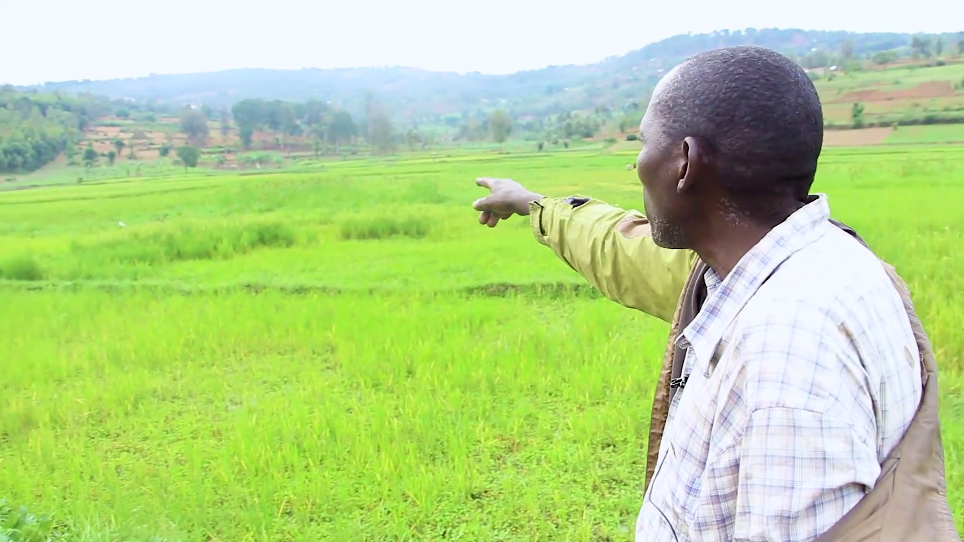 488613338_1173415501463765_3105852455311767132_n (1)