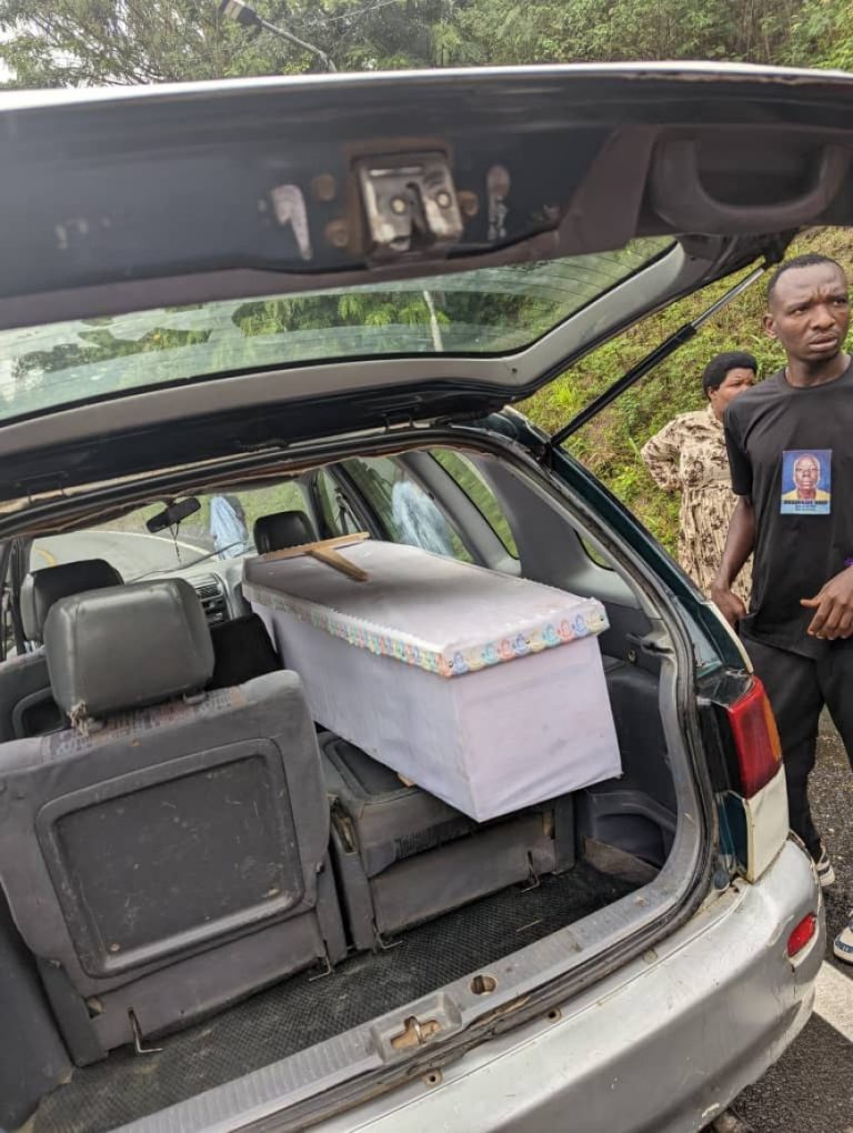 image_870x_6901fdb9a82a7