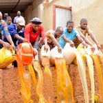 594966cd-2863-4f83-a215-5e06c33636a6-4d13a