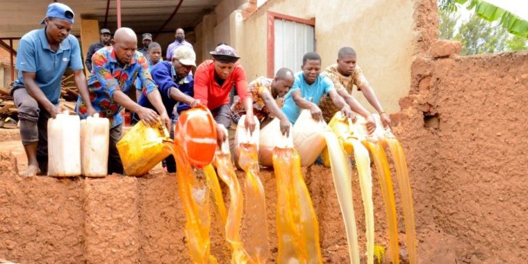 594966cd-2863-4f83-a215-5e06c33636a6-4d13a